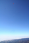 Picture 4.png
