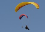 IMG_1410.jpg