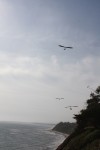 3 wings.jpg