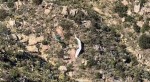 2021_04-18b_b_photo_of_paraglider_from_helicopter.jpeg (102.47 KiB) Viewed 16692 times 2021_04-18b_b_photo_of_paraglider_from_helicopter.jpeg